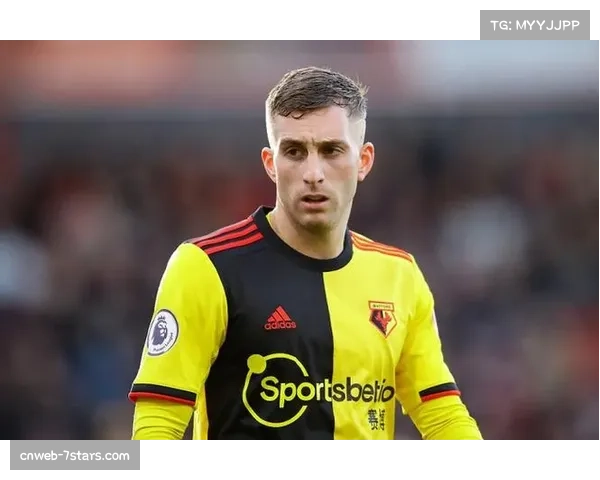 从重伤中恢复,乌迪内斯边锋德乌洛费乌替补登场献助攻 从重伤中恢复,乌迪内斯边锋德乌洛费乌替补登场献助攻